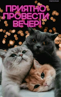 FB_IMG_17510352446210053