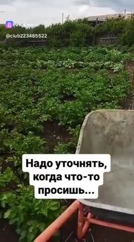 не_то_хотела