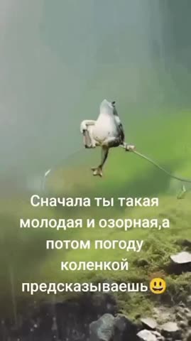 Погода