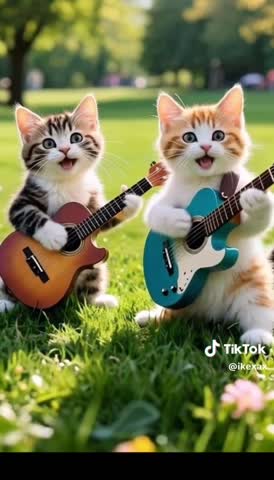 -Танец-Котят-