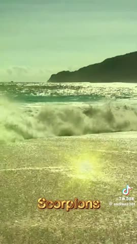 10742d0cb7015d733c9e988be57f9b60