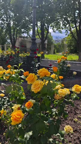 Лето в Новодонецке