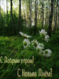 IMG_20250701_034642_381