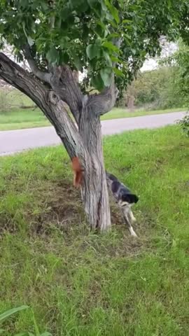 убеги_от_тцк