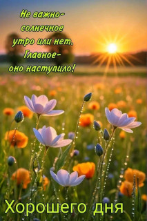 FB_IMG_17517687378683294