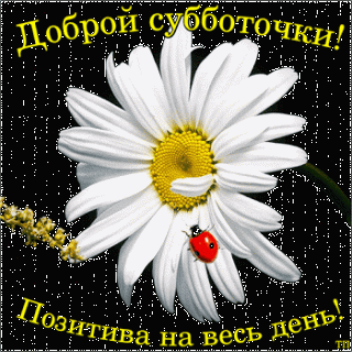 1cioi6sfqy1s9uqo