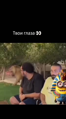 Юмор Твои глаза