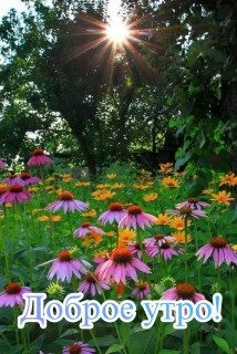 IMG_20250709_071810_341