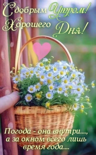 IMG_20250711_044200_852