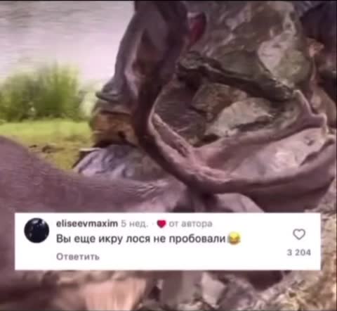 тупеет_народ