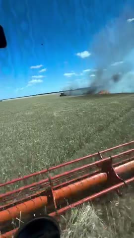 Жнива_?_20250712_2