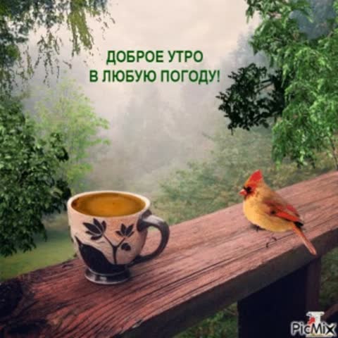 IMG_20250713_055726_944