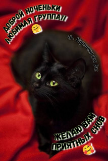 IMG-024adf4f149c9d827e6acc54183fcf44-V