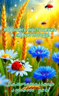 FB_IMG_17524881028890740