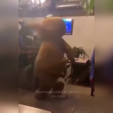 Лезгинка_от_михаила