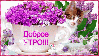 Dobroe-utro-muzykalnaja-otkrytka