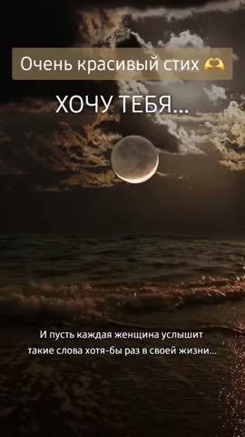 -7965575596313190348