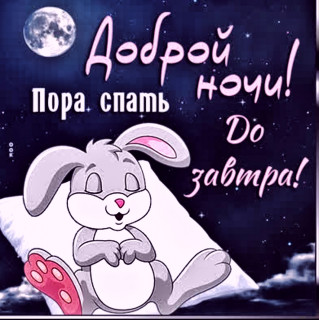 Foiz_PRO_IMG_20250716_133745