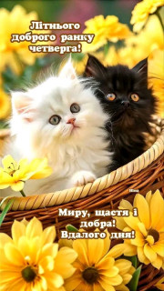 FB_IMG_17533311725686787