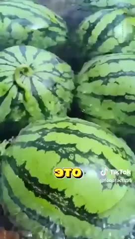 VID-20250724-WA0074