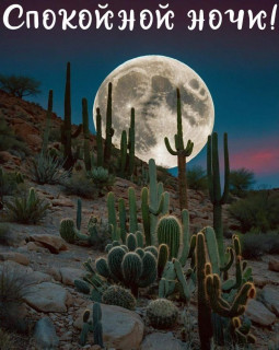 IMG_20250724_200407_303