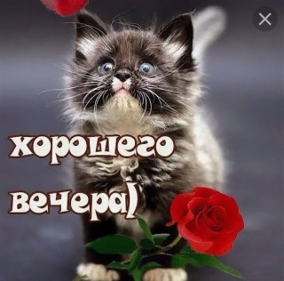 Foiz_PRO_vJE4EGKev8k