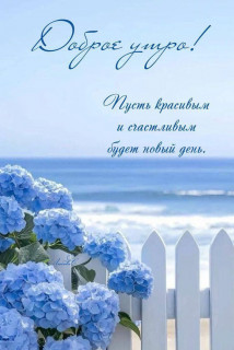 IMG_20250727_043806_853