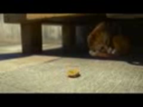 Бэймакс_-_6_серия_Бэймакс