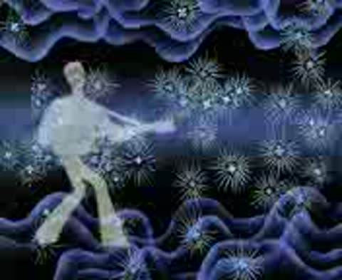 Бременские_музыканты_1969