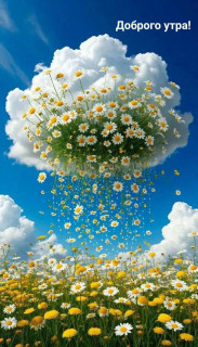 IMG_20250730_050023_929