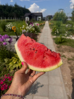 IMG_20250726_092702_262