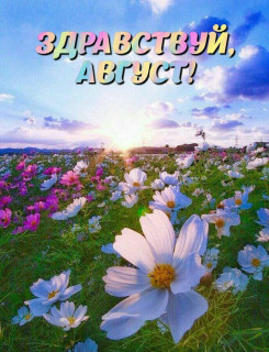 IMG_20250802_064833_650