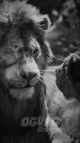 Самые красивые глаза