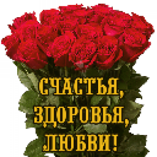 getImage4