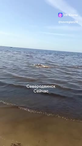 Северодвинск