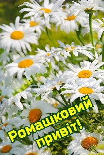 FB_IMG_17542578223528008