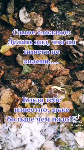 1f9f3f0d1882cbc03e5aa6cf891fd733