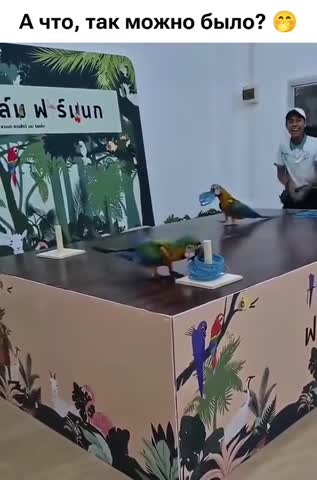 конечно_можно