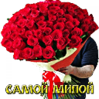 getImage4