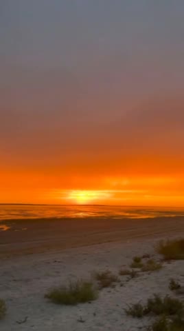 video-4e0e8effcf56199139067c6985d86c9a-V