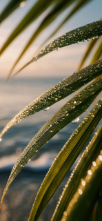 6cHy4evr8GLnElxssOfkoiR6nvrmjtHU0YuJVeQ9qxfDFa62CMjsqlHt2NLXzlnqmzWcew067p02a975pR5il8Ow