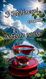 FB_IMG_17554053870760727