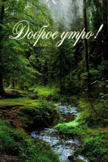 IMG_20250820_073418_546