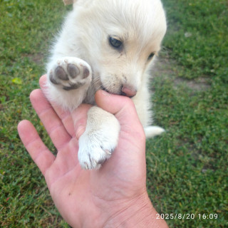 IMG_20250820_160906_1