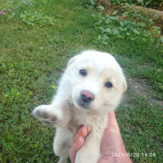 IMG_20250820_160859_1