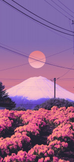 H0iC12EgwPw