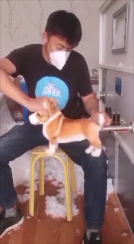 Вы_что_творите_блть