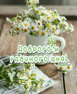 IMG_20250822_073244_120