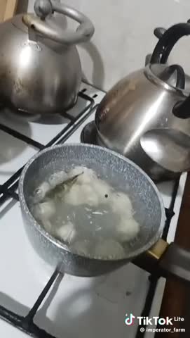 vseti__Пельмени-и-мухи