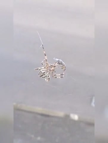 А ты меня достала